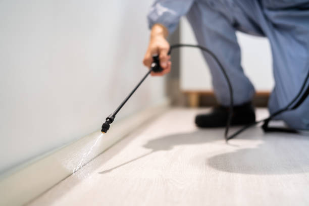 Certified termite inspector examining foundation in Jefferson